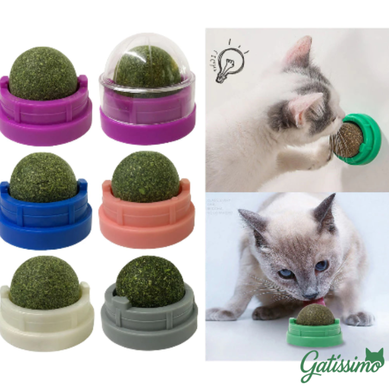 Bola Com Catnip para Gatos