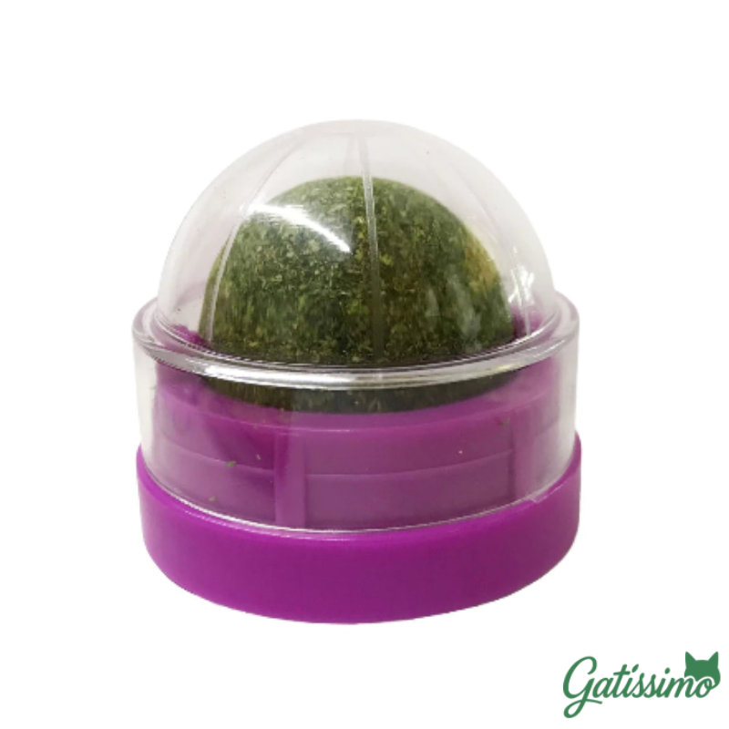 Bola Com Catnip para Gatos