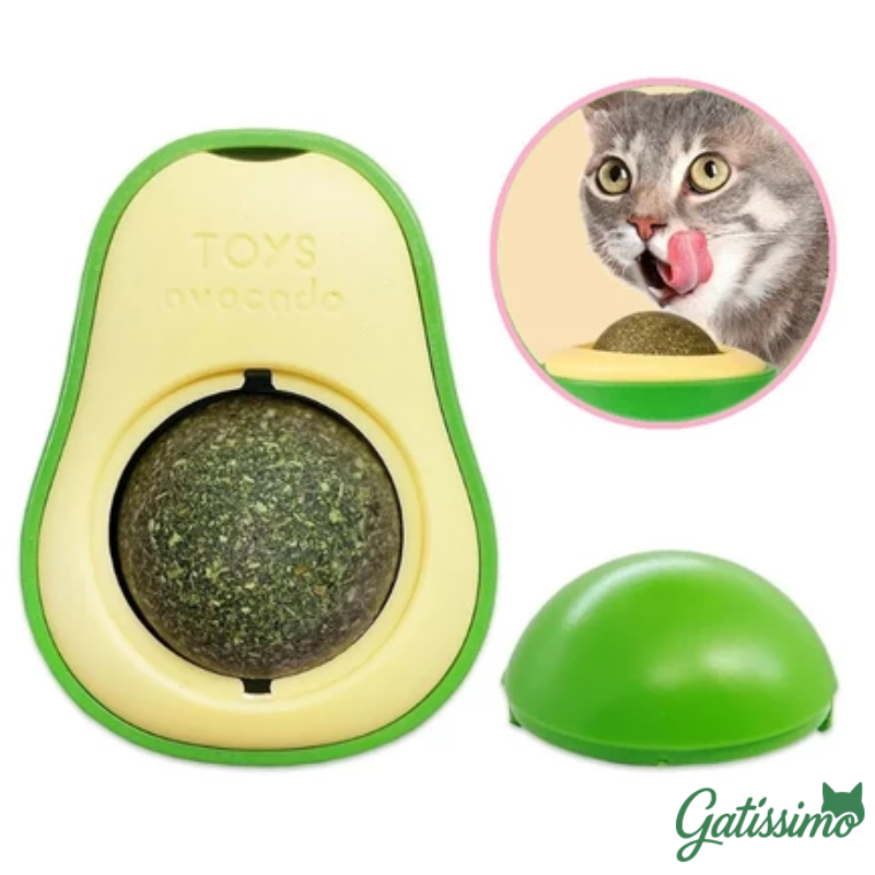 Kit 4 Abacates com Catnip para Gatos