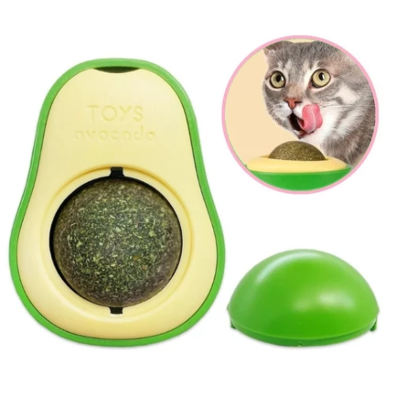 Abacate com Catnip para Gatos