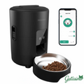 Alimentador Automático para Gatos