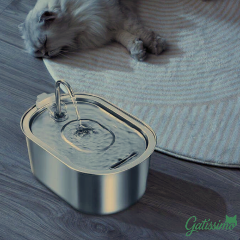 Fonte de Aço inoxidável para Gatos