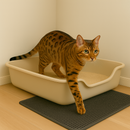 Caixa de Areia Gigante Confort