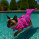 Colete Salva-Vidas Ocean Sereia & Tubarão:  Gatíssimo SeaGuard