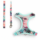 Conjunto Peitoral NeoComfy + Guia (Ajustável)