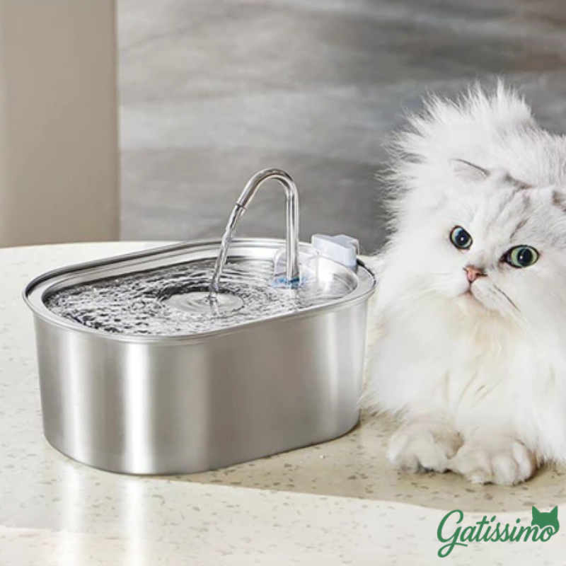 Fonte de Aço inoxidável para Gatos