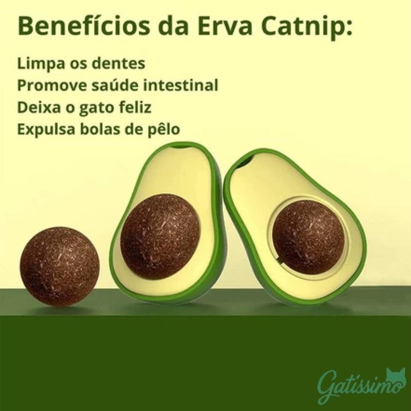 Kit 4 Abacates com Catnip para Gatos