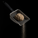 Pá de Limpeza em Inox Gatíssimo