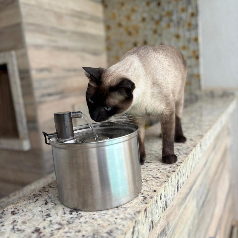 Fonte NP892 Inox 3 L com Janela: Gatíssimo Hydrate NP892