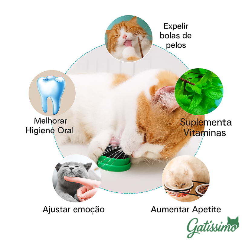 Bola Com Catnip para Gatos