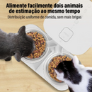 Alimentador Automático Ergonômico com Tigela Dupla para Gatos