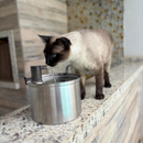 Fonte NP892 Inox 3 L com Janela: Gatíssimo Hydrate NP892