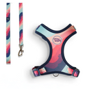 Conjunto Peitoral NeoComfy + Guia (Ajustável)