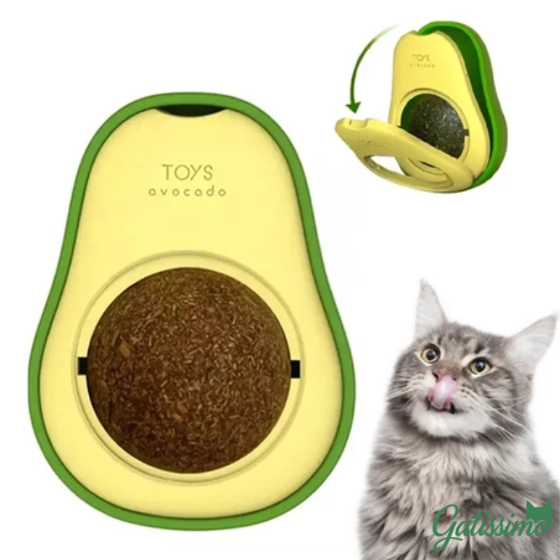 Kit 4 Abacates com Catnip para Gatos