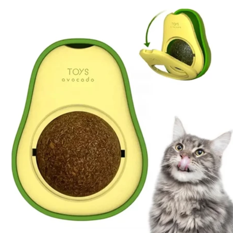 Abacate com Catnip para Gatos