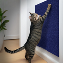 Tapete Arranhador Adesivo Premium (Proteção p/ Sofá & Móveis)