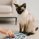 Brinquedo Interativo Esconde-Ração para Gatos