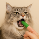 Kit Escova Dental Dedeira para Gatos