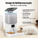 Alimentador Automático Ergonômico com Tigela Dupla para Gatos