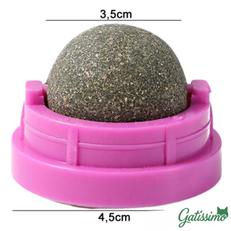 Bola Com Catnip para Gatos