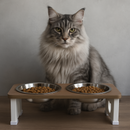 Comedouro Elevado Duplo Porcelana & Inox: Gatíssimo Duo Gourmet