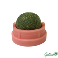 Bola Com Catnip para Gatos