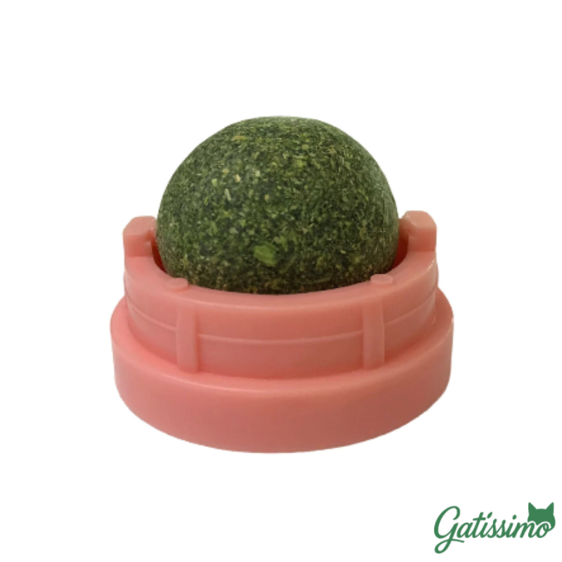 Bola Com Catnip para Gatos
