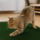 Tapete Arranhador Adesivo Premium (Proteção p/ Sofá & Móveis)