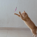 Varinha de  Caça Interativa com Penas para Gatos