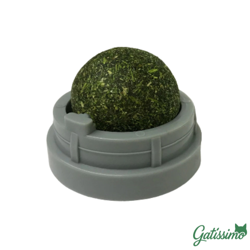 Bola Com Catnip para Gatos