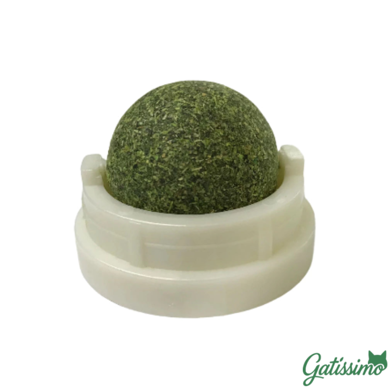 Bola Com Catnip para Gatos