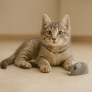 Ratinho Elétrico Recarregável para Gatos